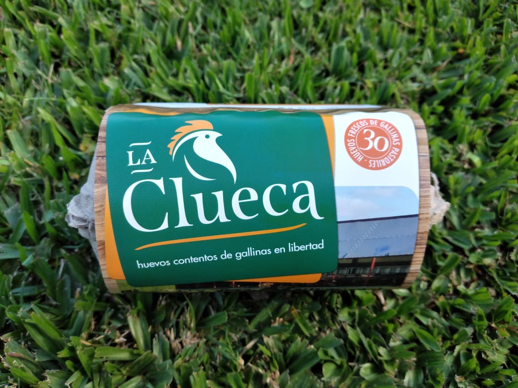 1/2 docena de huevos
